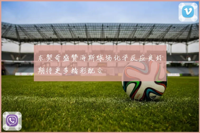 东契奇盛赞海斯球场化学反应良好期待更多精彩配合