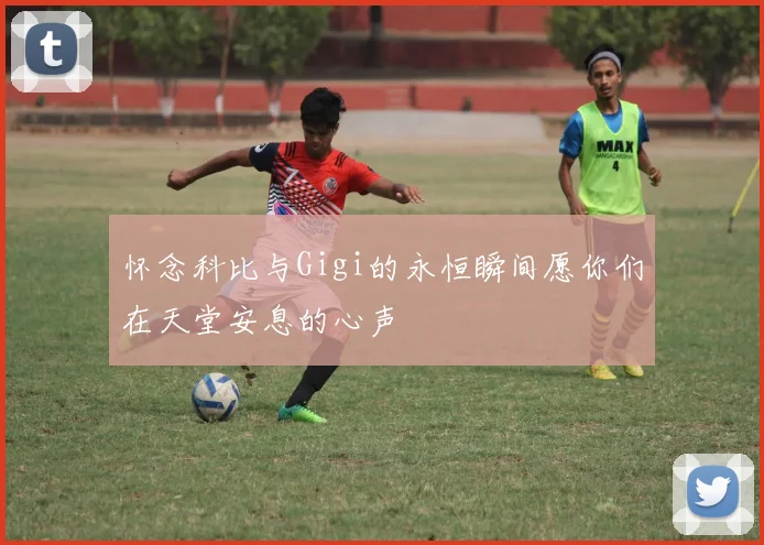怀念科比与Gigi的永恒瞬间愿你们在天堂安息的心声