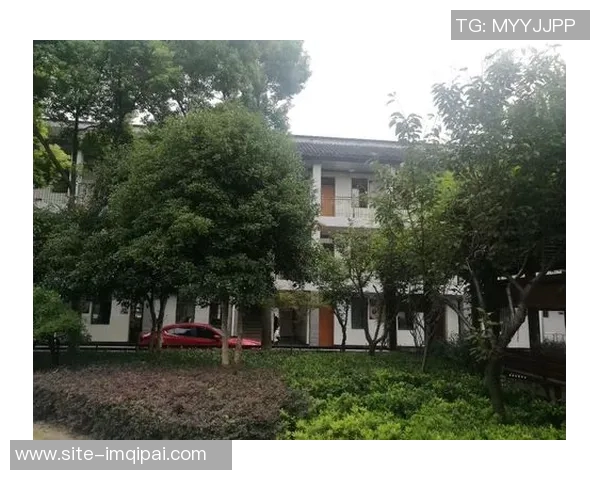 皮雷强调贝耶无法单靠一场比赛解决问题塔帅是最佳榜样